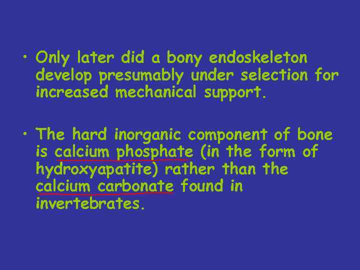  • Only later did a bony endoskeleton develop presumably under selection for increased