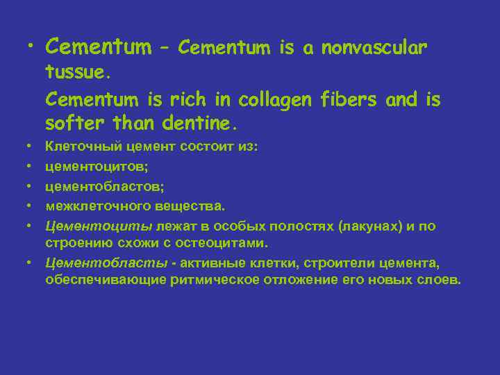  • Cementum – Cementum is a nonvascular tussue. Cementum is rich in collagen