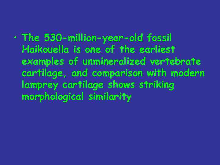  • The 530 -million-year-old fossil Haikouella is one of the earliest examples of