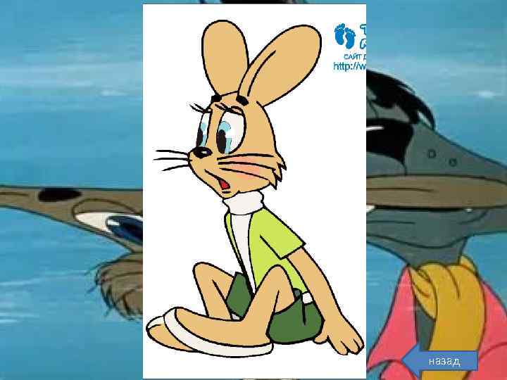 Заяц назад 