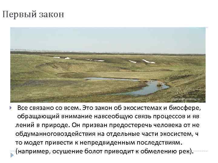 Первый закон Все связано со всем. Это закон об экосистемах и биосфере, обращающий внимание