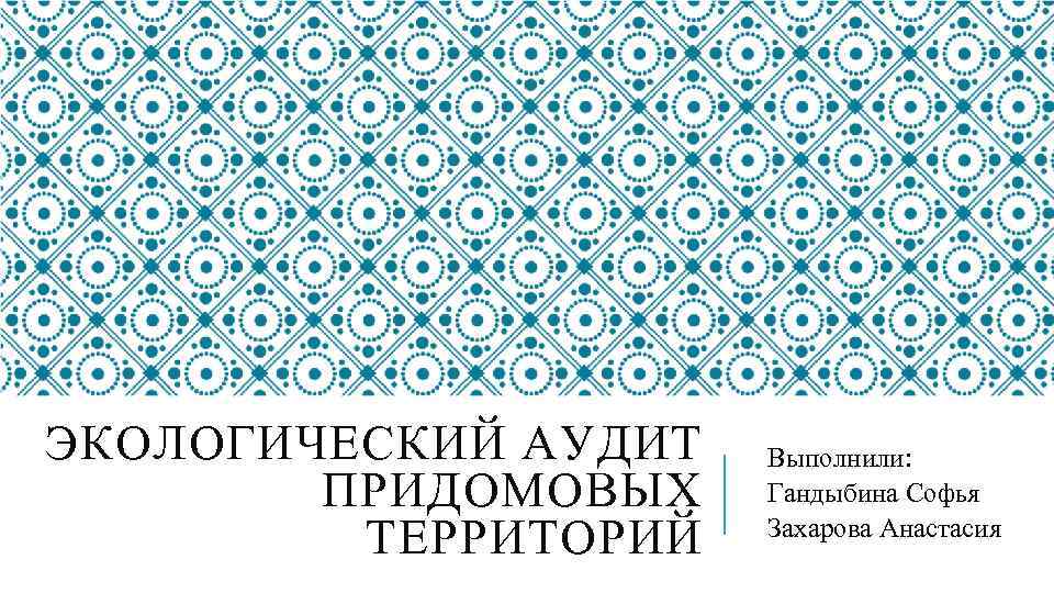 ЭКОЛОГИЧЕСКИЙ АУДИТ ПРИДОМОВЫХ ТЕРРИТОРИЙ Выполнили: Гандыбина Софья Захарова Анастасия 