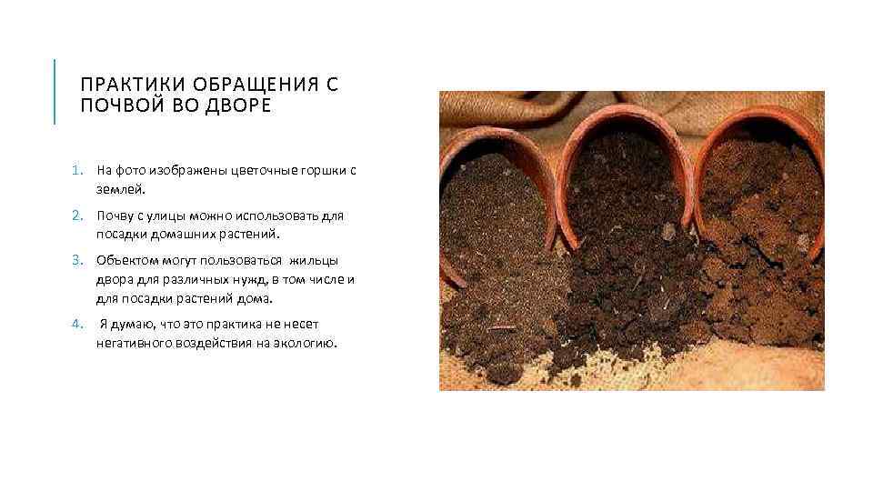 ПРАКТИКИ ОБРАЩЕНИЯ С ПОЧВОЙ ВО ДВОРЕ 1. На фото изображены цветочные горшки с землей.