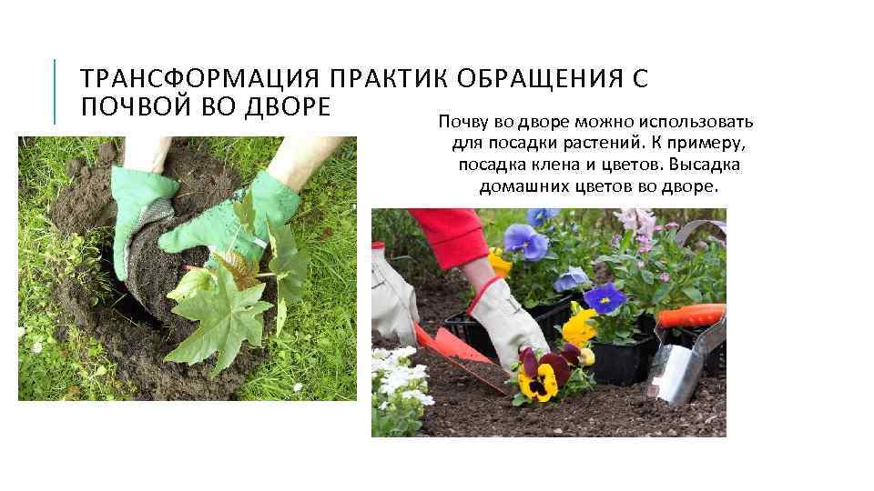 ТРАНСФОРМАЦИЯ ПРАКТИК ОБРАЩЕНИЯ С ПОЧВОЙ ВО ДВОРЕ Почву во дворе можно использовать для посадки