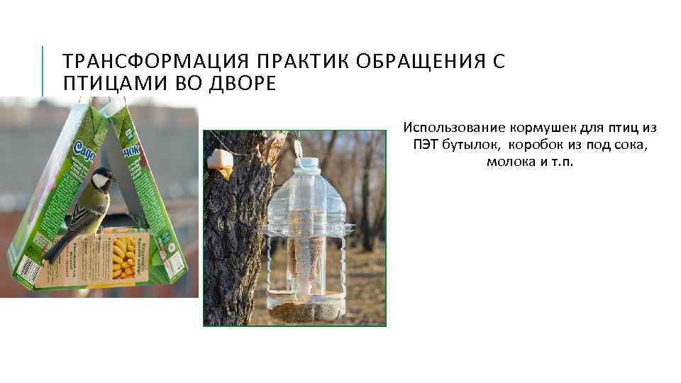 ТРАНСФОРМАЦИЯ ПРАКТИК ОБРАЩЕНИЯ С ПТИЦАМИ ВО ДВОРЕ Использование кормушек для птиц из ПЭТ бутылок,