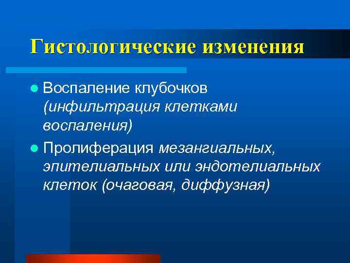 Гистологические изменения l Воспаление клубочков (инфильтрация клетками воспаления) l Пролиферация мезангиальных, эпителиальных или эндотелиальных