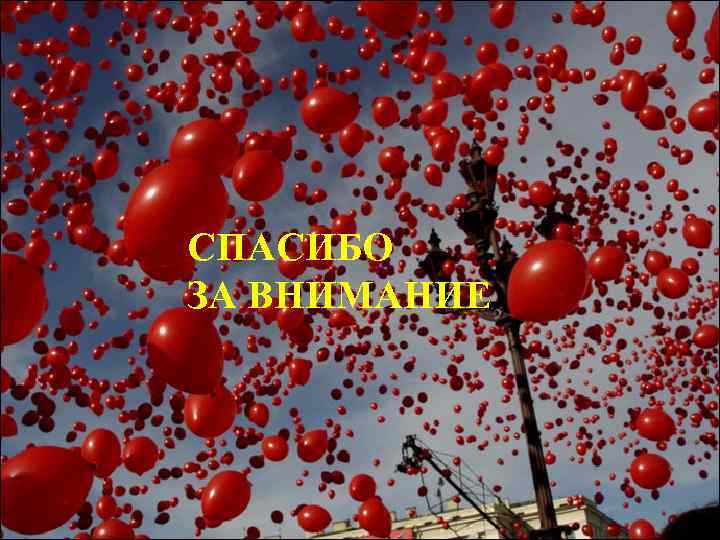 СПАСИБО ЗА ВНИМАНИЕ 