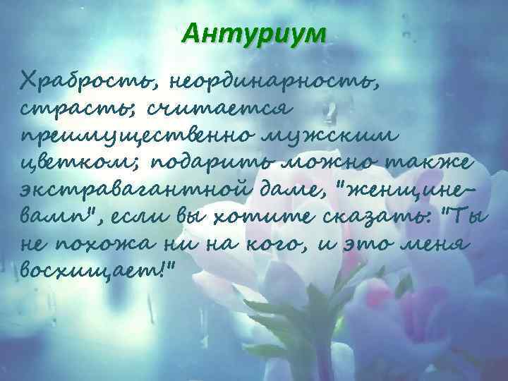 Антуриум Храбрость, неординарность, страсть; считается преимущественно мужским цветком; подарить можно также экстравагантной даме, 