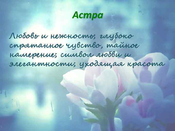 Астра Любовь и нежность; глубоко спрятанное чувство, тайное намерение; символ любви и элегантности; уходящая