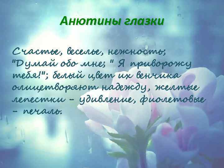 Анютины глазки Счастье, веселье, нежность; 