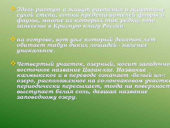 v Здесь растут и живут растения и животные сухой степи, сотни предста вителей флоры