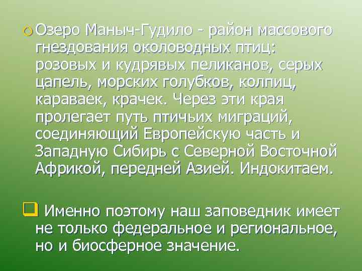 o Озеро Маныч-Гудило - район массового гнездования околоводных птиц: розовых и кудрявых пеликанов, серых