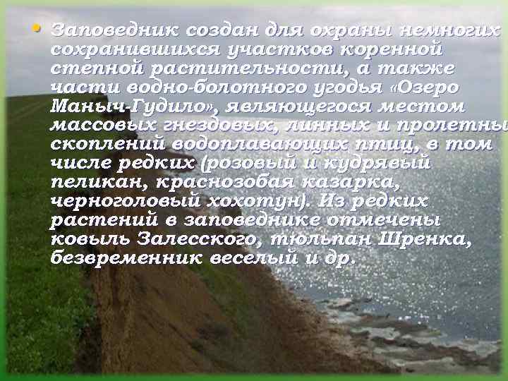  • Заповедник создан для охраны немногих сохранившихся участков коренной степной растительности, а также