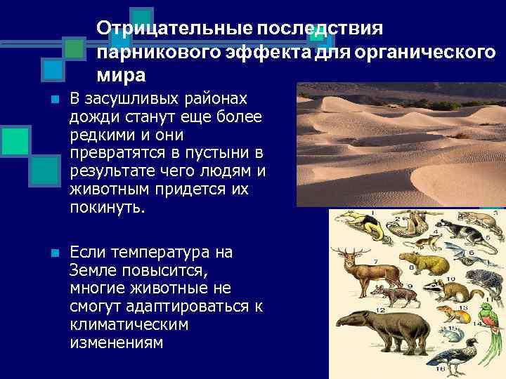 Отрицательные последствия парникового эффекта для органического мира n В засушливых районах дожди станут еще