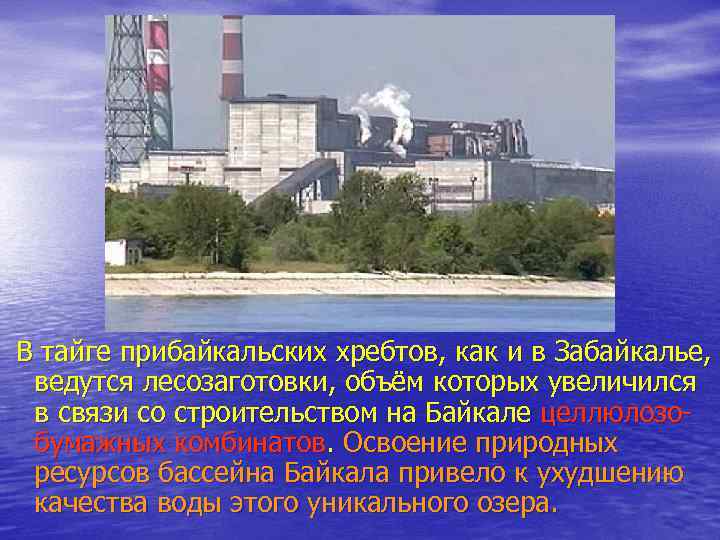 В тайге прибайкальских хребтов, как и в Забайкалье, ведутся лесозаготовки, объём которых увеличился в