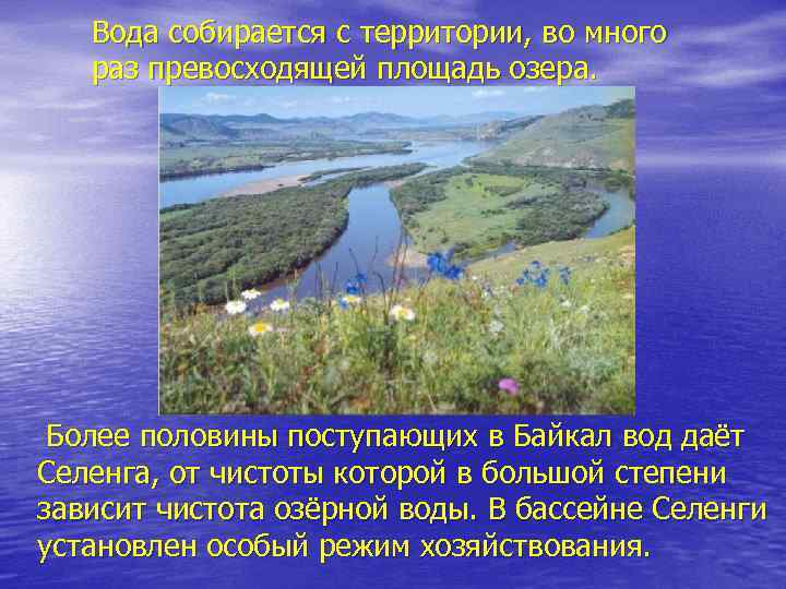 Вода собирается с территории, во много раз превосходящей площадь озера. Более половины поступающих в