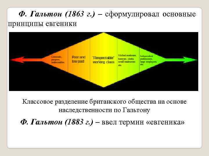 Ф. Гальтон (1863 г. ) – сформулировал основные принципы евгеники Классовое разделение британского общества