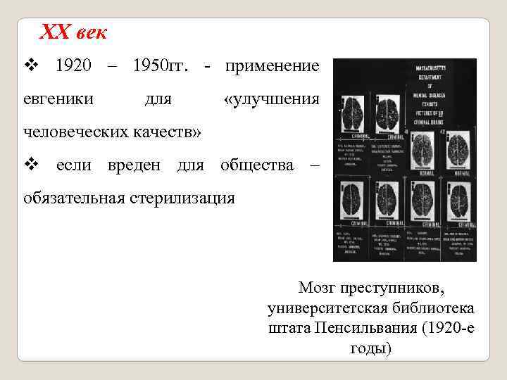 XX век v 1920 – 1950 гг. - применение евгеники для «улучшения человеческих качеств»