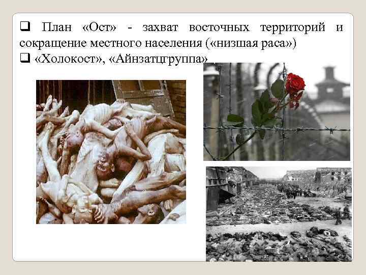 q План «Ост» - захват восточных территорий и сокращение местного населения ( «низшая раса»