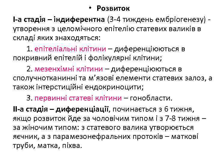  • Розвиток І-а стадія – індиферентна (3 4 тиждень ембріогенезу) утворення з целомічного