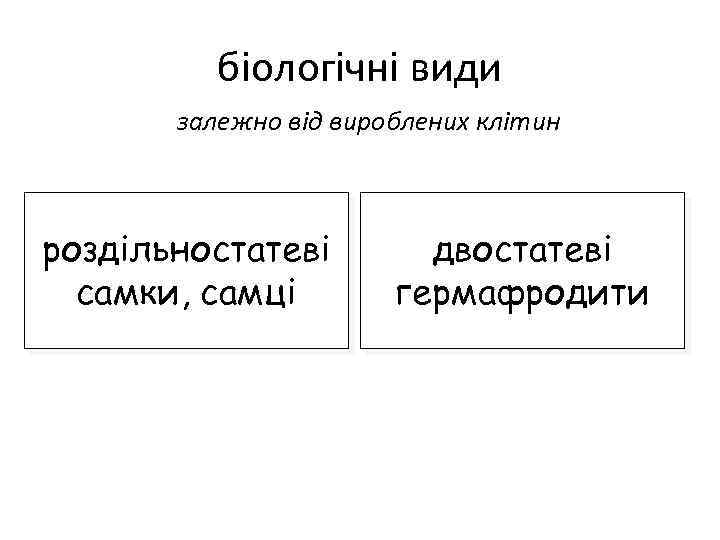 біологічні види залежно від вироблених клітин роздільностатеві самки, самці двостатеві гермафродити 