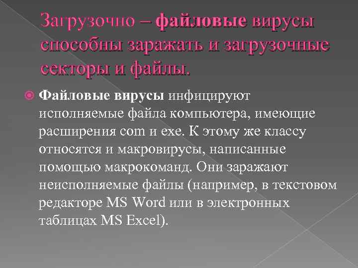 Загрузочно – файловые вирусы способны заражать и загрузочные секторы и файлы. Файловые вирусы инфицируют