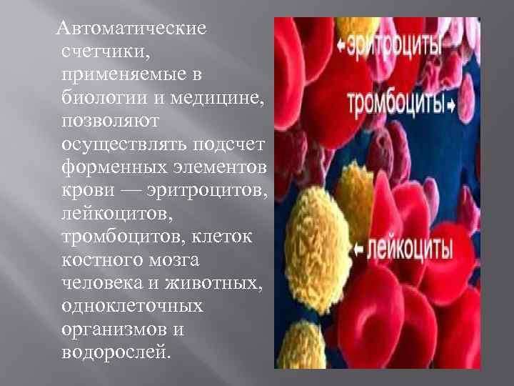  Автоматические счетчики, применяемые в биологии и медицине, позволяют осуществлять подсчет форменных элементов крови