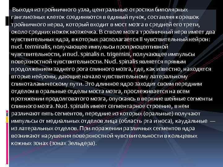  Выходя из тройничного узла, центральные отростки биполярных ганглиозных клеток соединяются в единый пучок,