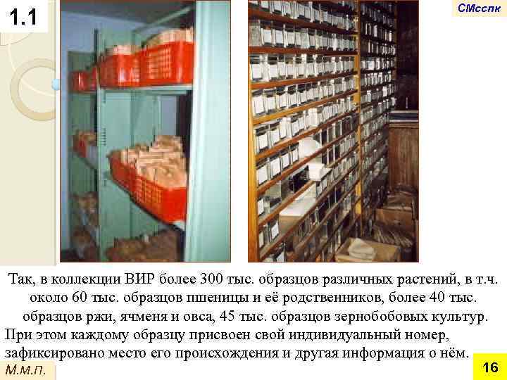 1. 1 СМсспк Так, в коллекции ВИР более 300 тыс. образцов различных растений, в