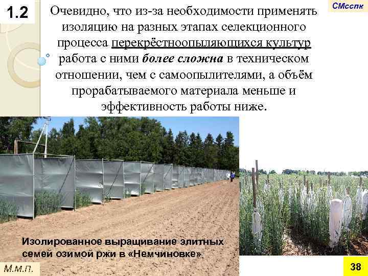1. 2 Очевидно, что из-за необходимости применять изоляцию на разных этапах селекционного процесса перекрёстноопыляющихся