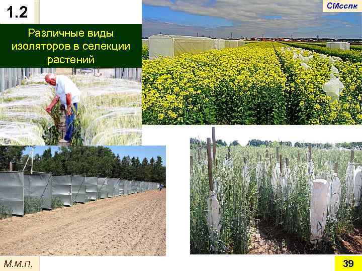 1. 2 СМсспк Различные виды изоляторов в селекции растений М. М. П. 39 