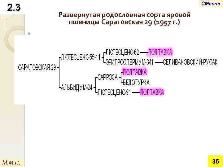2. 3 М. М. П. СМсспк Развернутая родословная сорта яровой пшеницы Саратовская 29 (1957