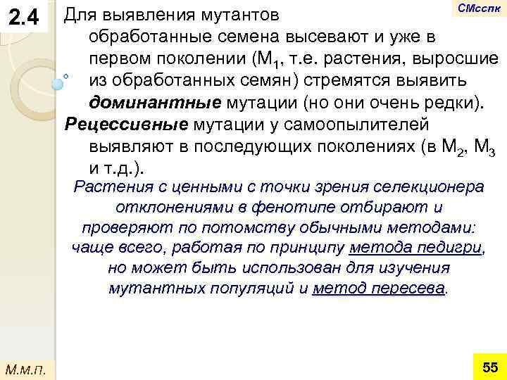 2. 4 СМсспк Для выявления мутантов обработанные семена высевают и уже в первом поколении