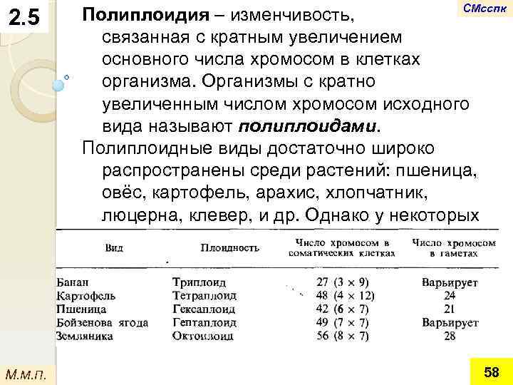 2. 5 М. М. П. СМсспк Полиплоидия – изменчивость, связанная с кратным увеличением основного
