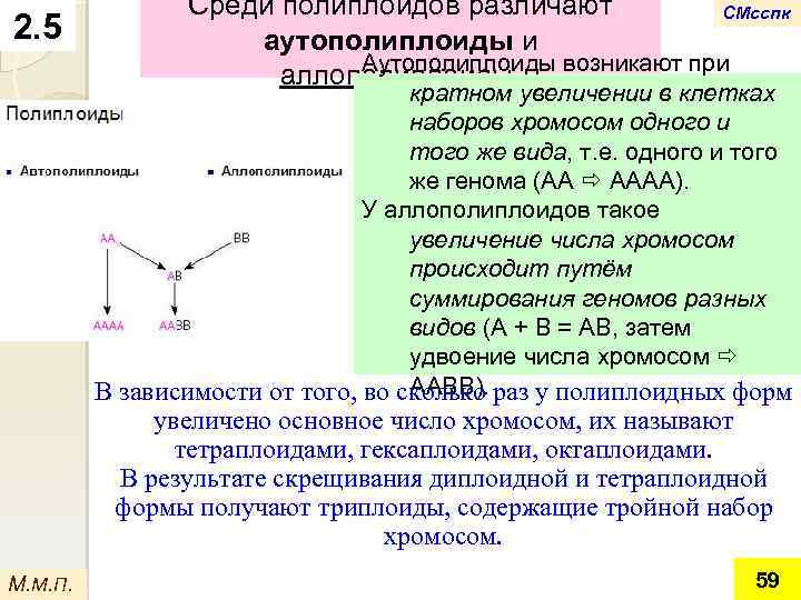 2. 5 Среди полиплоидов различают СМсспк аутополиплоиды и Аутополиплоиды аллополиплоиды. возникают при кратном увеличении