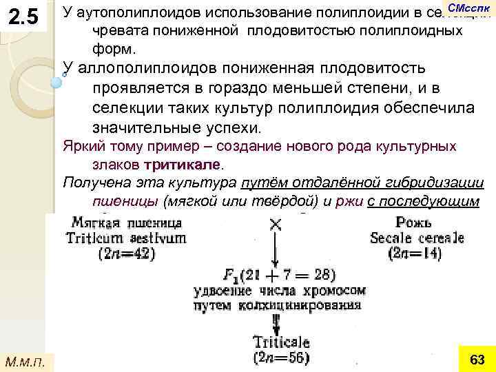 2. 5 СМсспк У аутополиплоидов использование полиплоидии в селекции чревата пониженной плодовитостью полиплоидных форм.