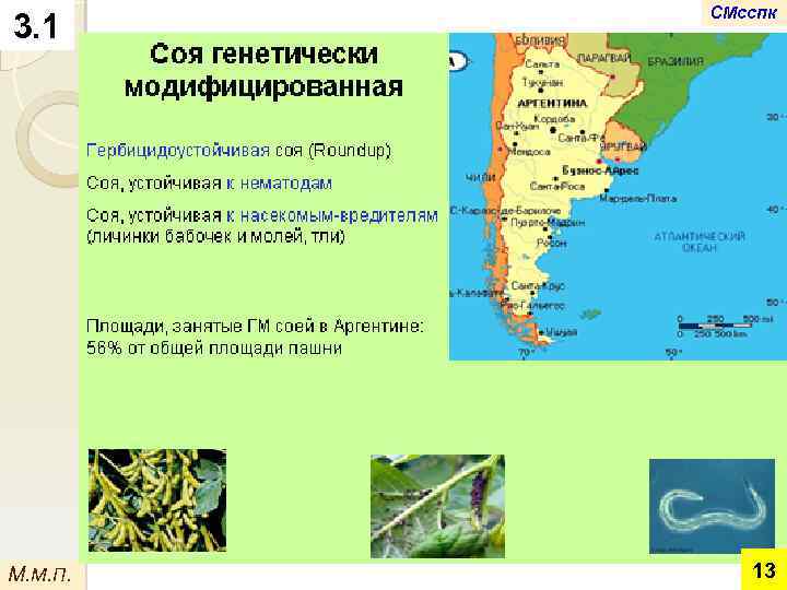 3. 1 М. М. П. СМсспк 13 