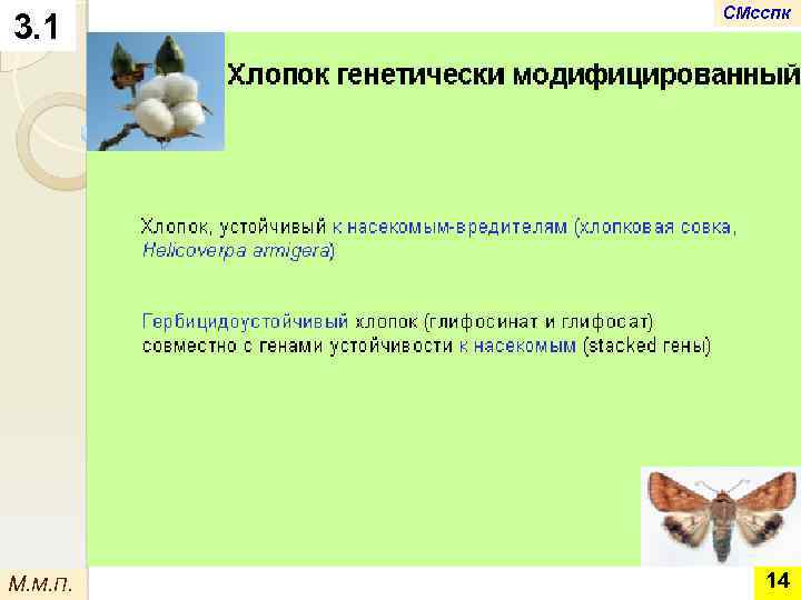 3. 1 М. М. П. СМсспк 14 