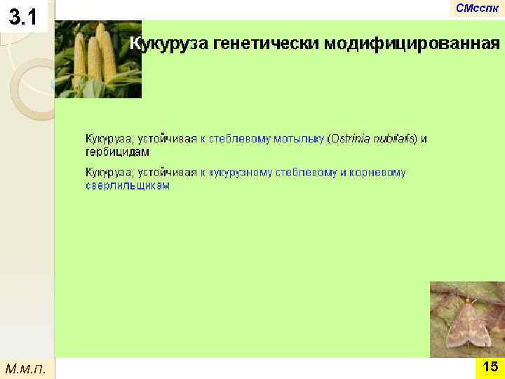 3. 1 М. М. П. СМсспк 15 