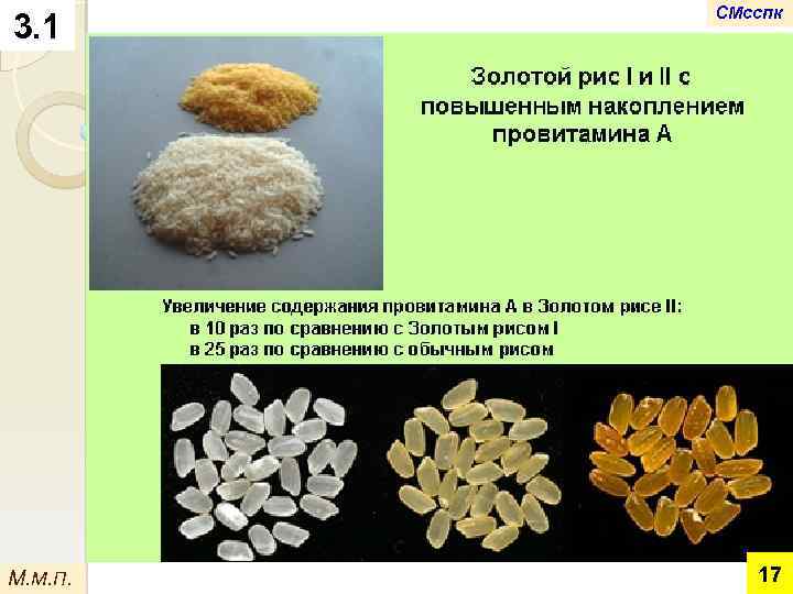 3. 1 М. М. П. СМсспк 17 
