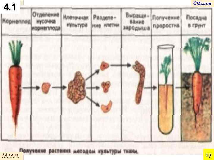 4. 1 М. М. П. СМсспк 17 