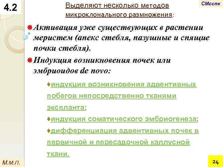 4. 2 Выделяют несколько методов микроклонального размножения: СМсспк ä Активация уже существующих в растении
