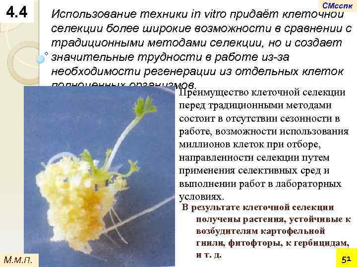 4. 4 СМсспк Использование техники in vitro придаёт клеточной селекции более широкие возможности в