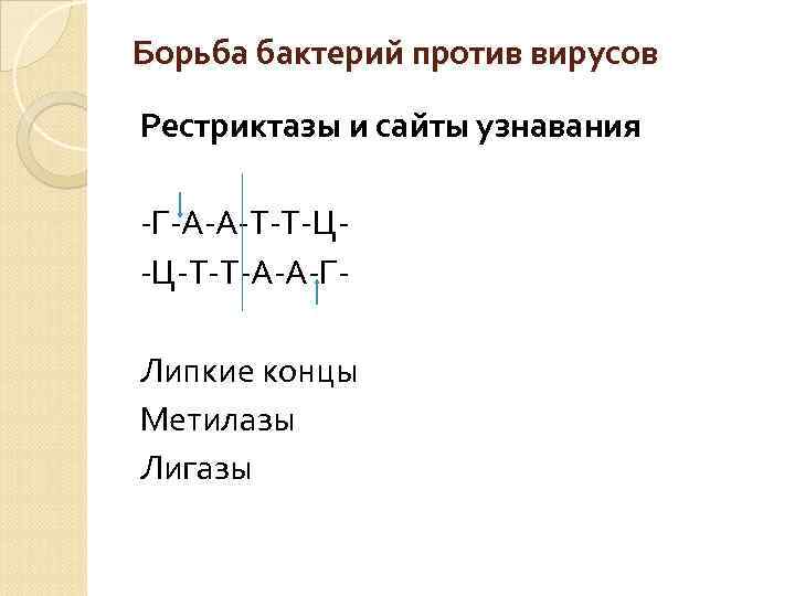 Борьба бактерий против вирусов Рестриктазы и сайты узнавания -Г-А-А-Т-Т-Ц-Ц-Т-Т-А-А-ГЛипкие концы Метилазы Лигазы 