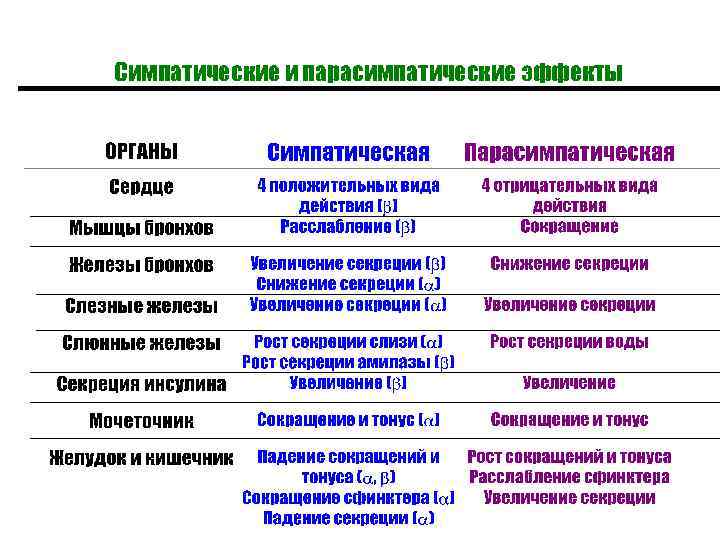 Симпатические и парасимпатические эффекты 