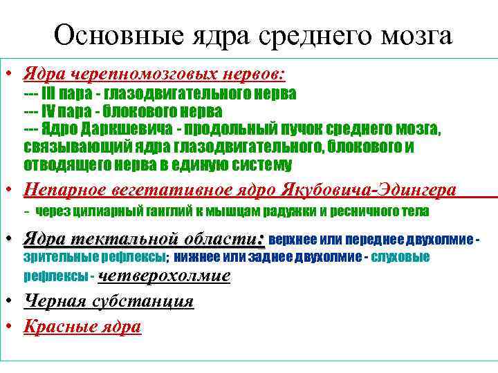 Основные ядра среднего мозга • Ядра черепномозговых нервов: --- III пара - глазодвигательного нерва