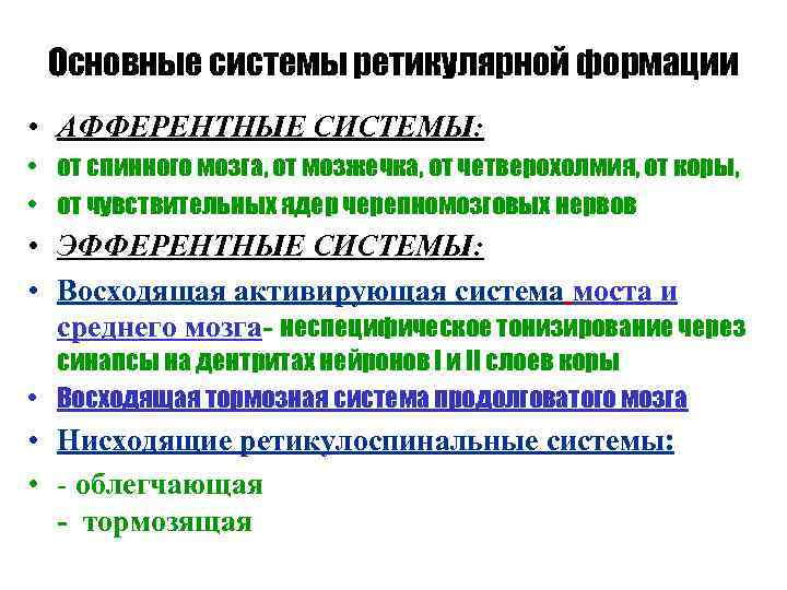 Основные системы ретикулярной формации • АФФЕРЕНТНЫЕ СИСТЕМЫ: • от спинного мозга, от мозжечка, от