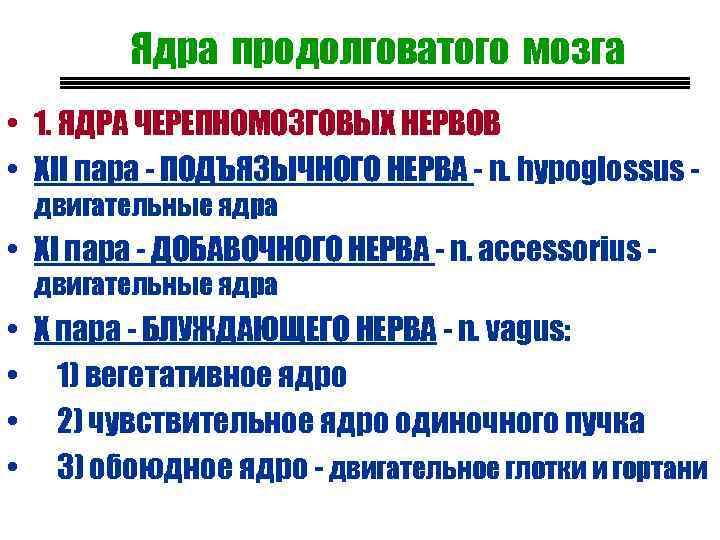 Ядра продолговатого мозга • 1. ЯДРА ЧЕРЕПНОМОЗГОВЫХ НЕРВОВ • XII пара - ПОДЪЯЗЫЧНОГО НЕРВА