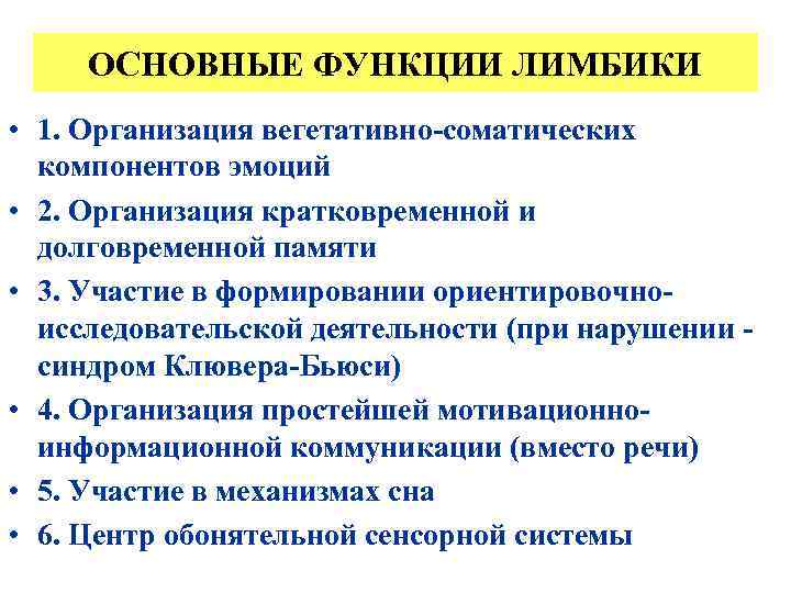 ОСНОВНЫЕ ФУНКЦИИ ЛИМБИКИ • 1. Организация вегетативно-соматических компонентов эмоций • 2. Организация кратковременной и