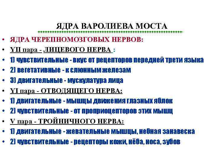 ЯДРА ВАРОЛИЕВА МОСТА • • • ЯДРА ЧЕРЕПНОМОЗГОВЫХ НЕРВОВ: YII пара - ЛИЦЕВОГО НЕРВА